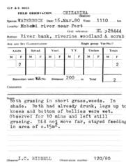 Kobus ellipsiprymnus