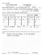 Kobus ellipsiprymnus