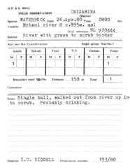 Kobus ellipsiprymnus