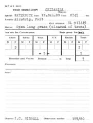 Kobus ellipsiprymnus