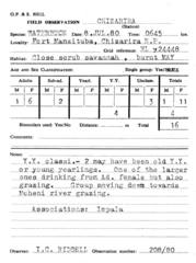 Kobus ellipsiprymnus