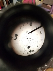 Miozoa