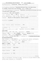 Philothamnus semivariegatus