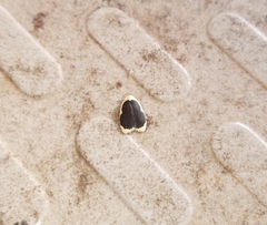 Pseudoblabes oophora