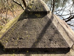 Endocarpon pallidulum