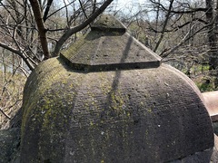 Endocarpon pallidulum