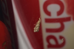 Microchilo inouei