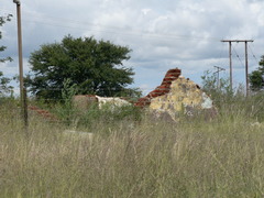 Triraphis andropogonoides