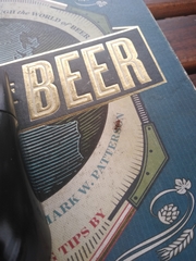 Psenocerus supernotatus