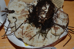 Calcipostia guttulata