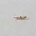 Argyresthia bonnetella - Photo (c) Nigel Voaden, algunos derechos reservados (CC BY)