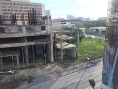 Gallus gallus domesticus