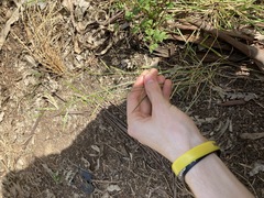 Eriochloa pseudoacrotricha