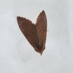 Nadata