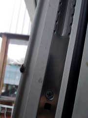 Liophloeus tessulatus