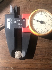 Polygyra septemvolva