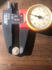 Polygyra septemvolva