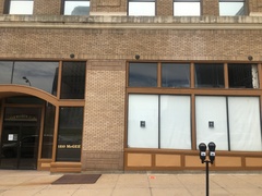 Zonotrichia albicollis