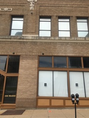 Zonotrichia albicollis