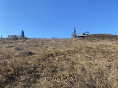 Crocus heuffelianus scepusiensis