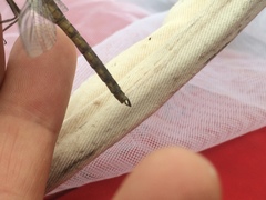 Neurocordulia yamaskanensis