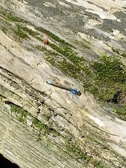 Zoniagrion exclamationis