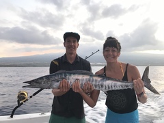 Acanthocybium solandri