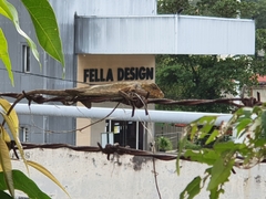 Calotes versicolor
