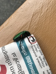 Heterorrhina elegans