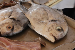 Caranx sexfasciatus
