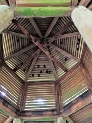 Hipposideros armiger terasensis