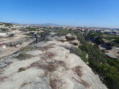 Drosanthemum intermedium