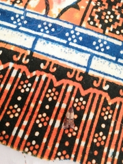 Plodia interpunctella