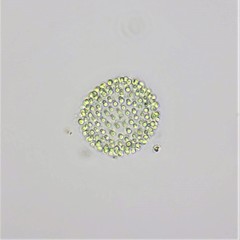 Coelosphaerium