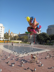 Columba livia domestica