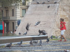 Columba livia domestica
