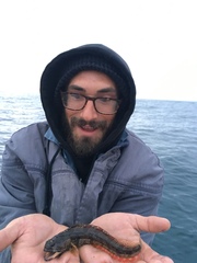 Neoclinus uninotatus