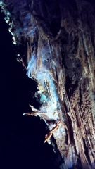Wrightoporia austrosinensis