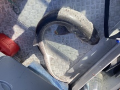 Notorynchus cepedianus