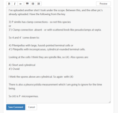 Pluteus microspermus