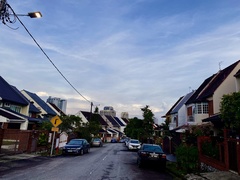 Dieffenbachia seguine