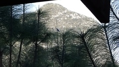 Aphelocoma wollweberi