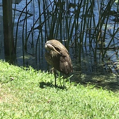 Image Associated With the Occurrence