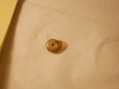 Oxychilus draparnaudi