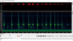 Hipposideros armiger