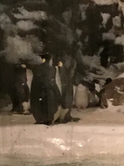 Aptenodytes forsteri