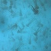 ヤナギクラゲ