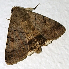 Pandesmini