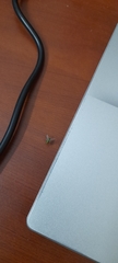 Diptera