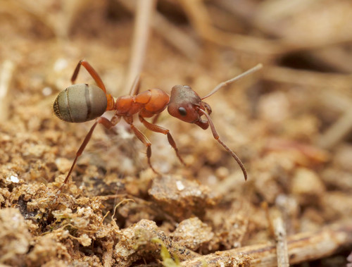 no rights reserved, uploaded by Philipp Hoenle